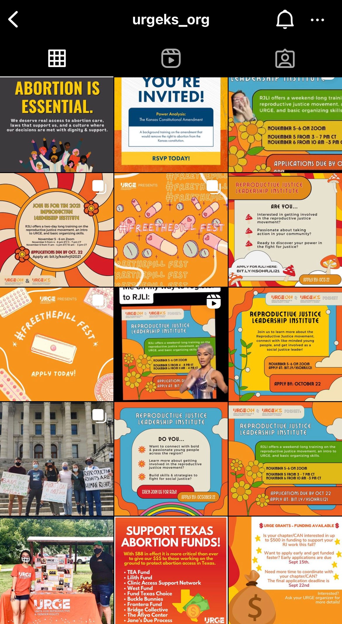 Portfolio | Sarah Myose — Art & Marketing Work URGE: Unite for Reproductive & Gender Equity — image 3