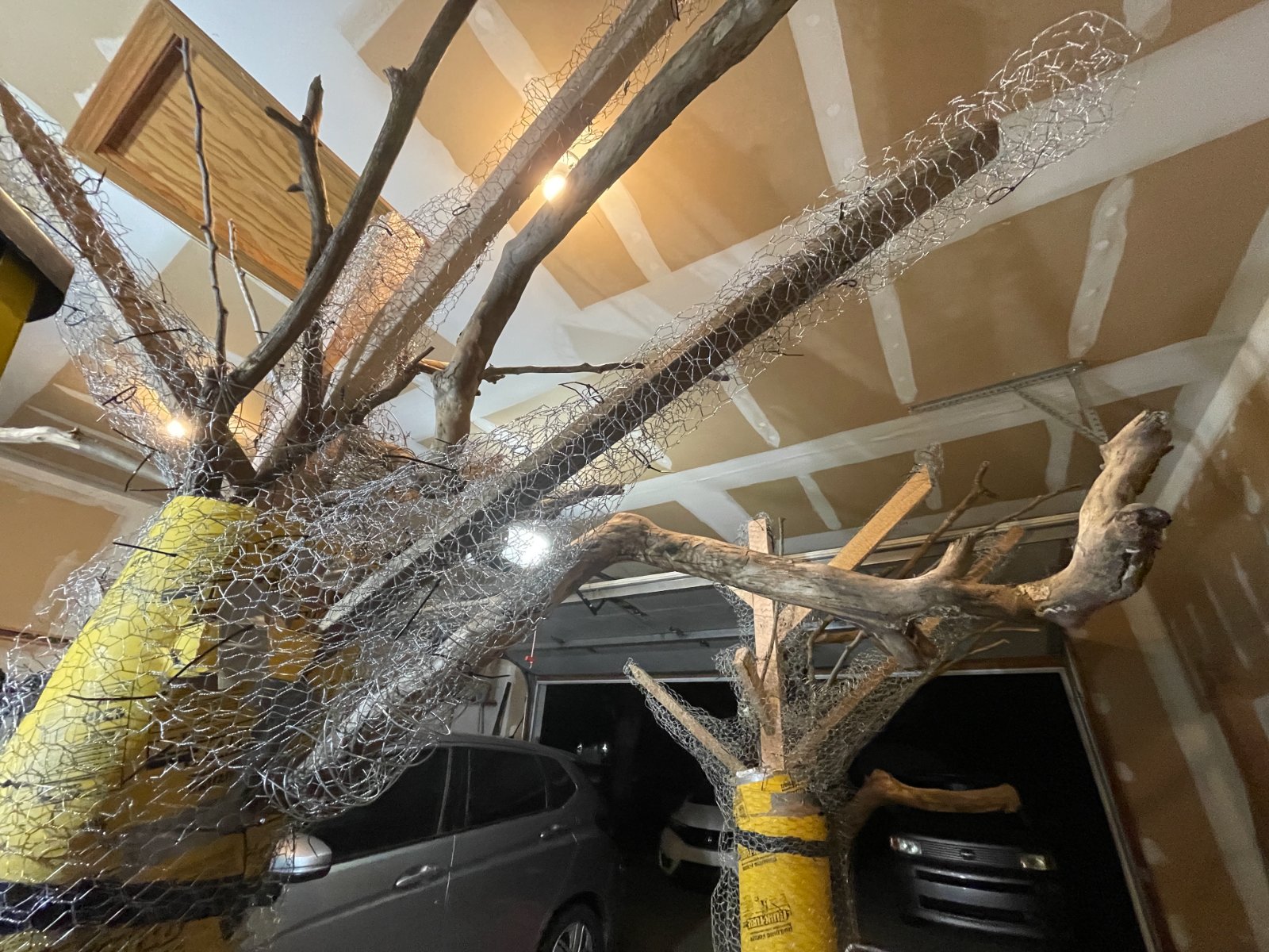 Portfolio | Sarah Myose — Art & Marketing Work Extending the Wish Trees branch armatures for the archway