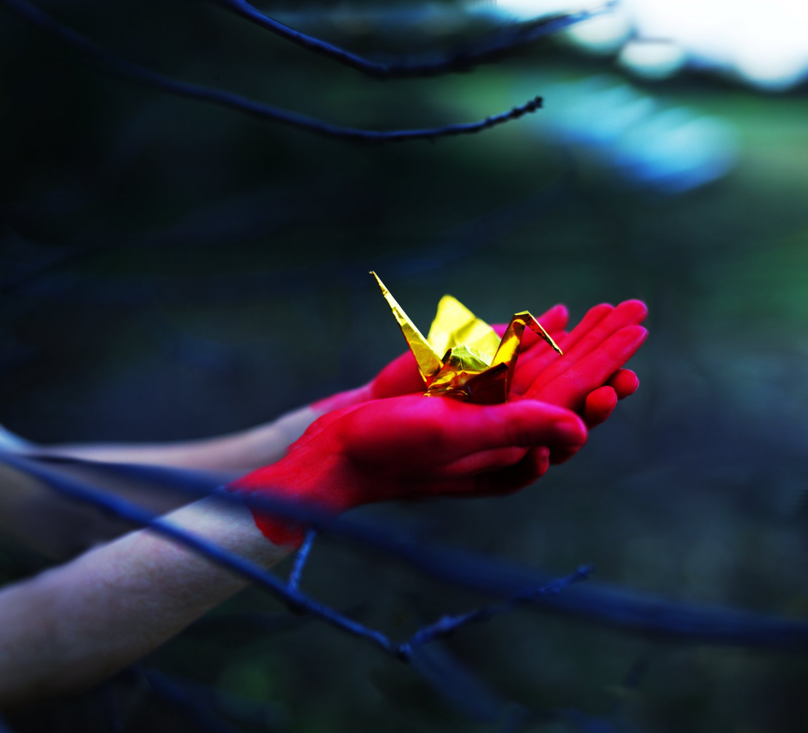 Portfolio | Sarah Myose — Art & Marketing Work Photography — image 10