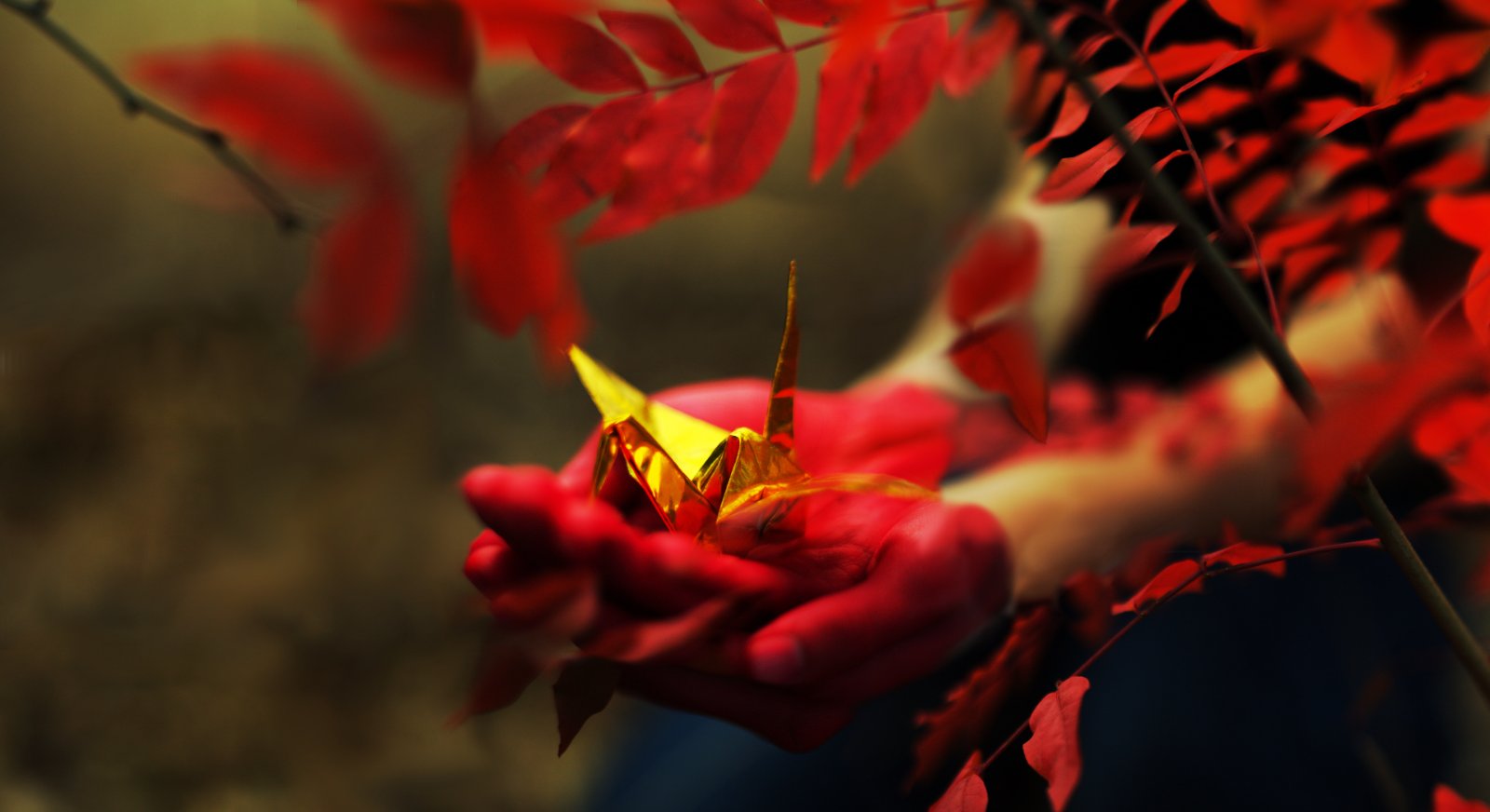 Portfolio | Sarah Myose — Art & Marketing Work Photography — image 11