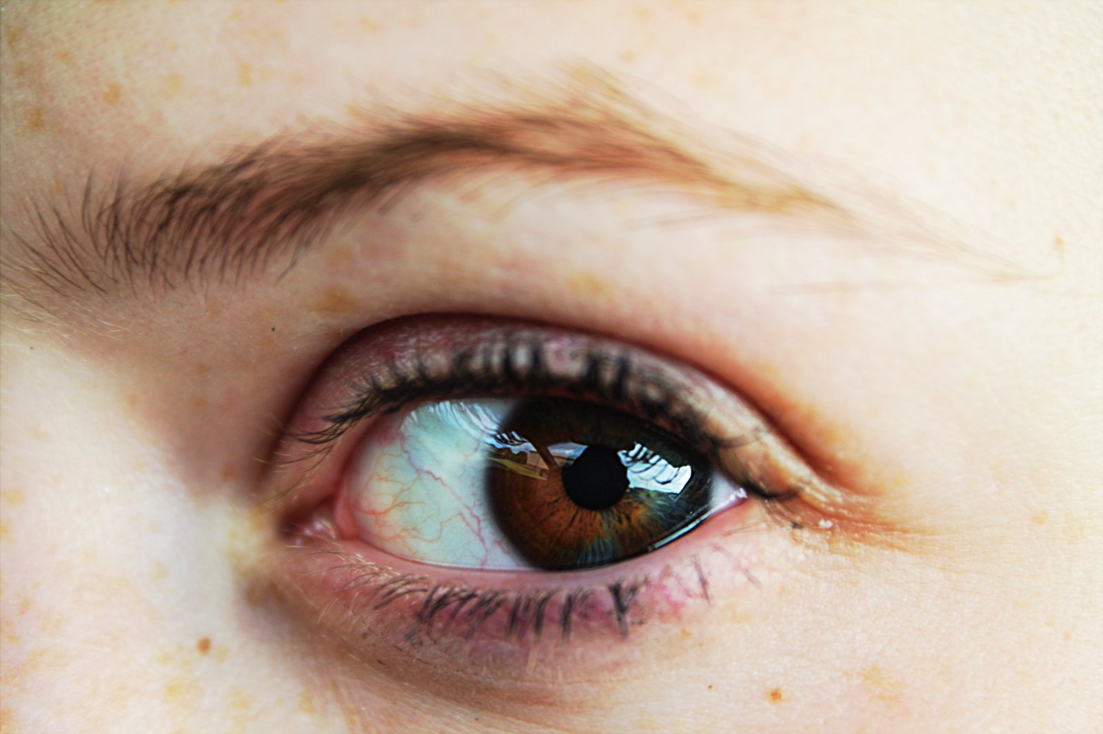 Portfolio | Sarah Myose — Art & Marketing Work Photography — image 6
