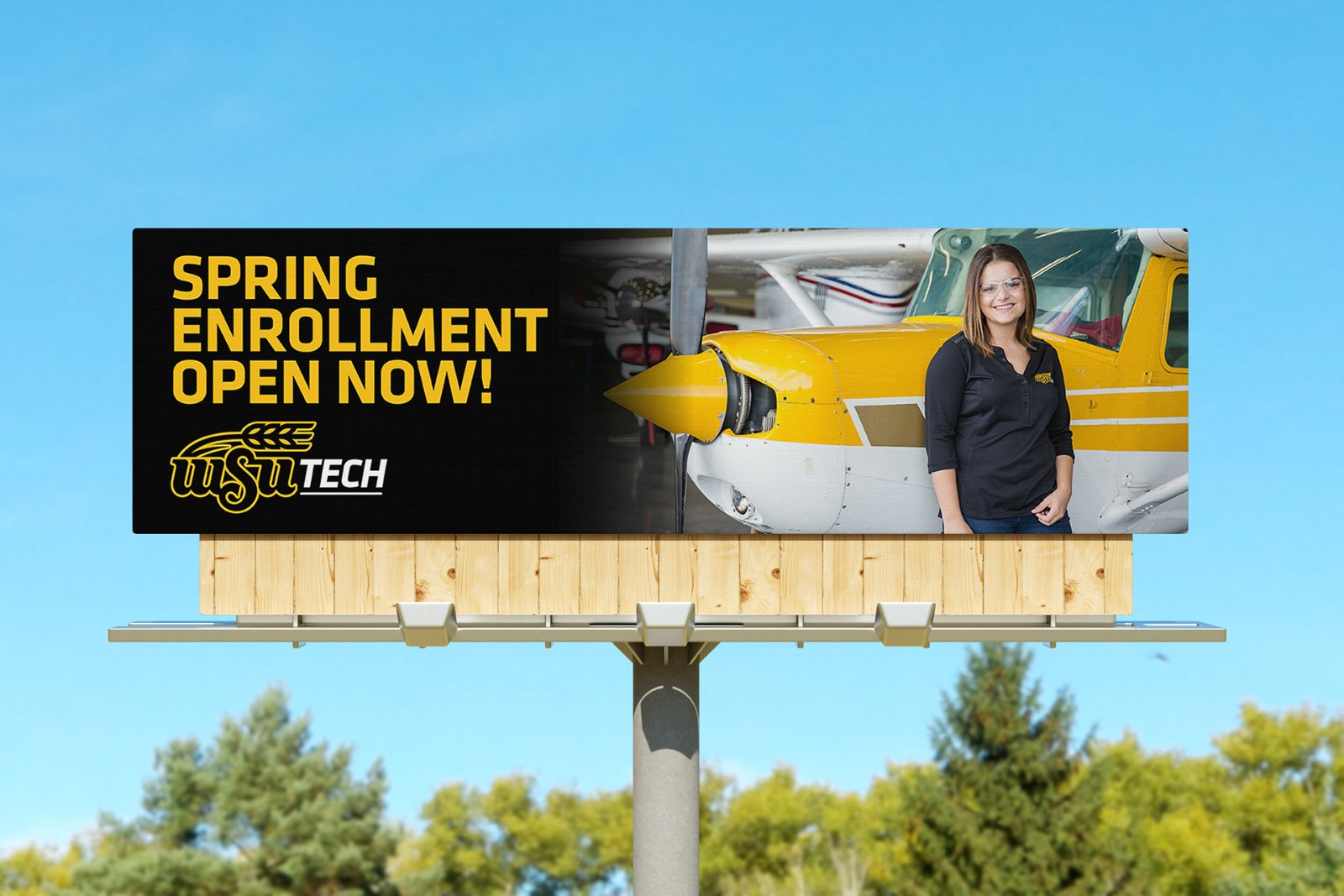 Portfolio | Sarah Myose — Art & Marketing Work Spring Enrollment Billboards — image 2